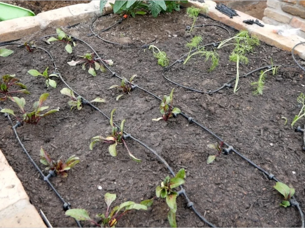 Automatische Bewässerung im Hochbeet von Gardena