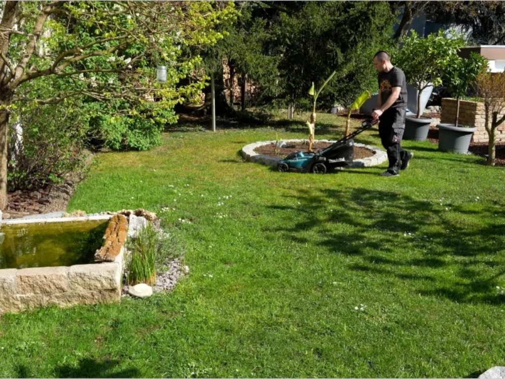 Rasen mulchen mit Rasenschnitt