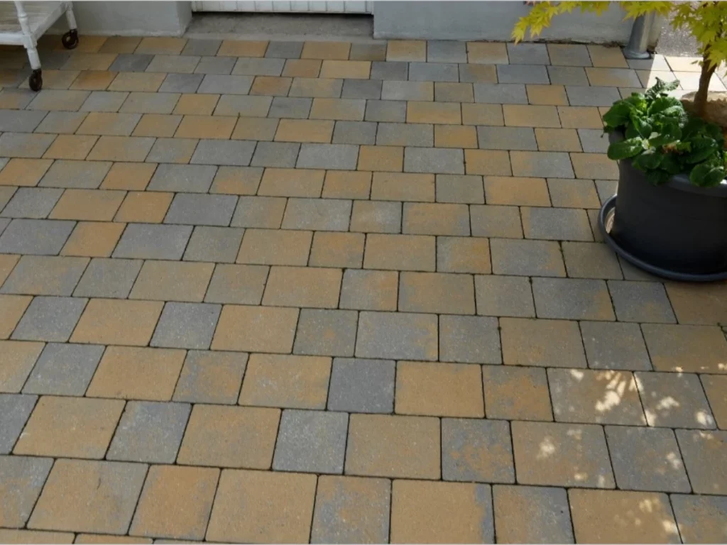Nanoprotect Grünbelagsentferner