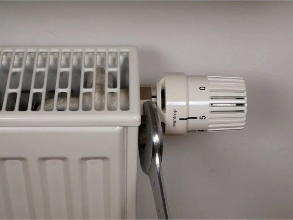 Thermostatkopf entfernen