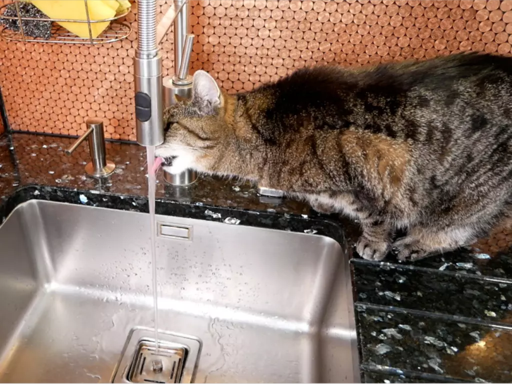 Wasserhärte messen und einstellen